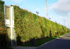bariera zielona akustyczne ecotec polska