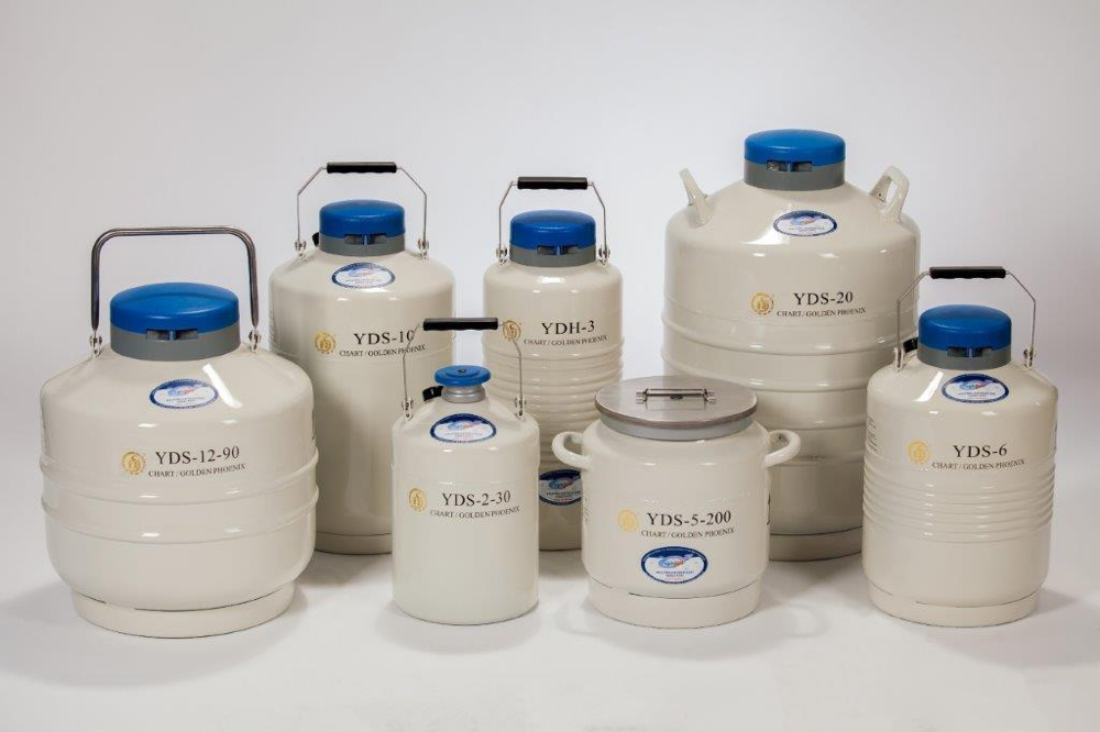 dewary na ciekły azot cryogen