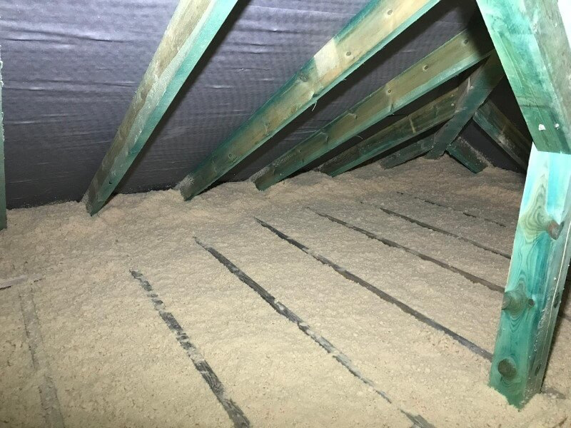 Wełna drzewna Steico Zell