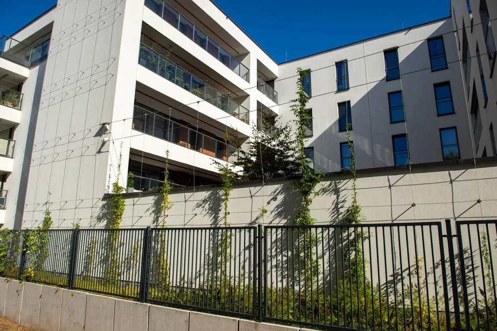 linki do pnączy Linplast na ścianie białego budynku