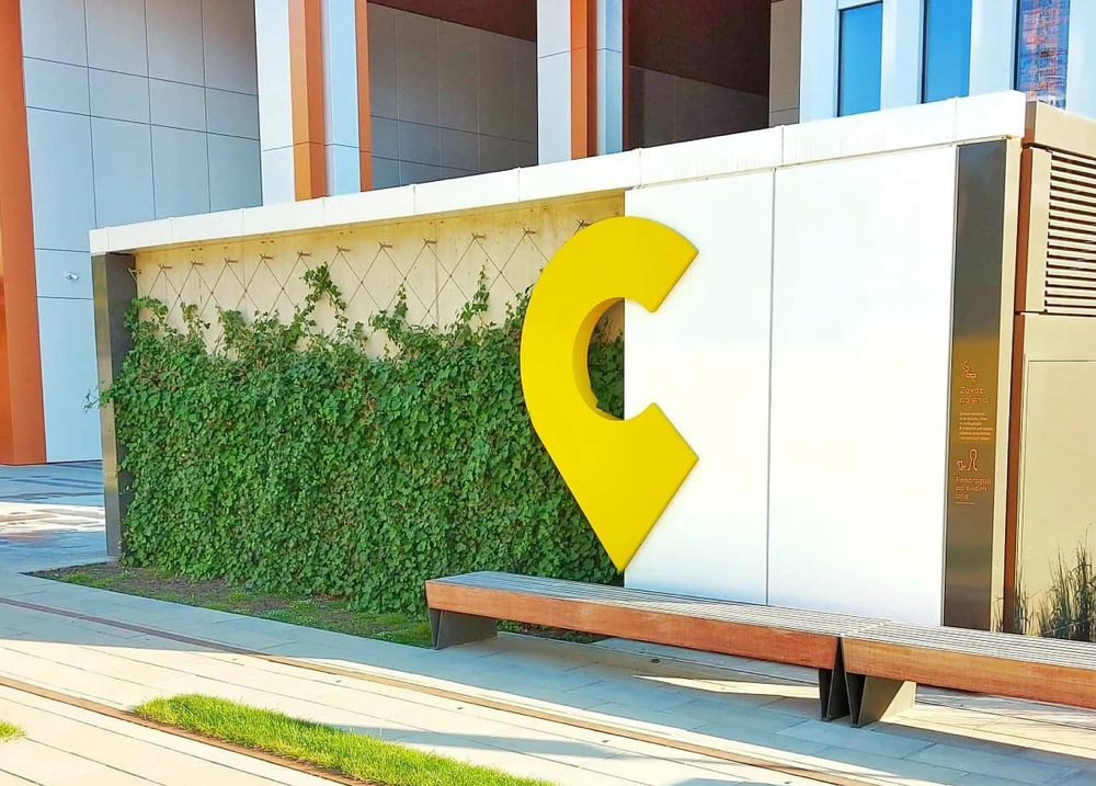 linki do pnączy linplast na murku, obrośnięte gęsto roślinami