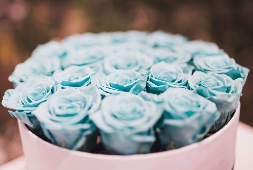 4. Flowerbox z błękitnymi różami umieszczonymi w okrągłym opakowaniu.